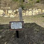 2023OTRA_555 (May 05, 2023)